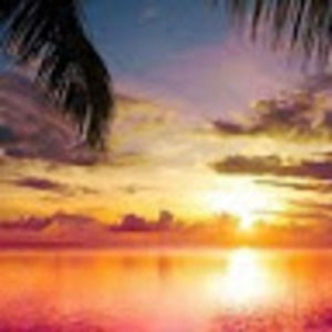 Meet your Posher, Dena